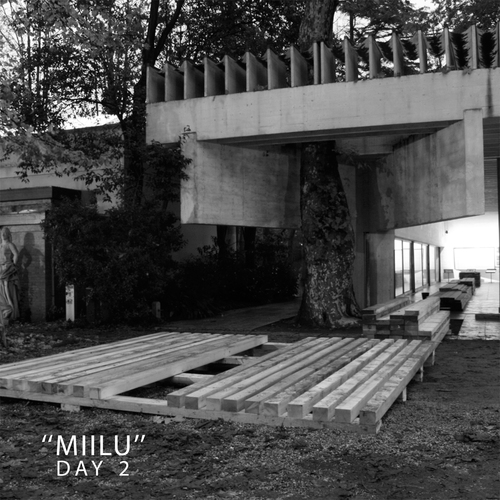 Miilu_email-10_large