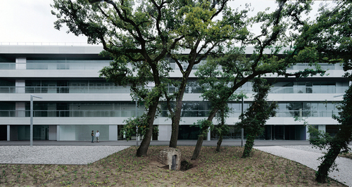 Ec01_large