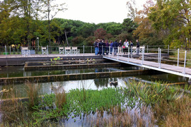 Ab02-acquario_normal