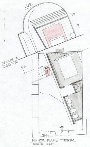 Api_pianta_p_terra_large