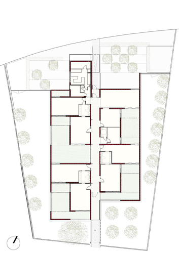 Planta_large