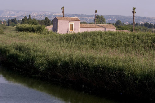 1-view_large