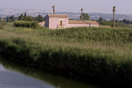 1-view_normal