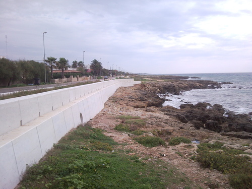 Snc00531_large