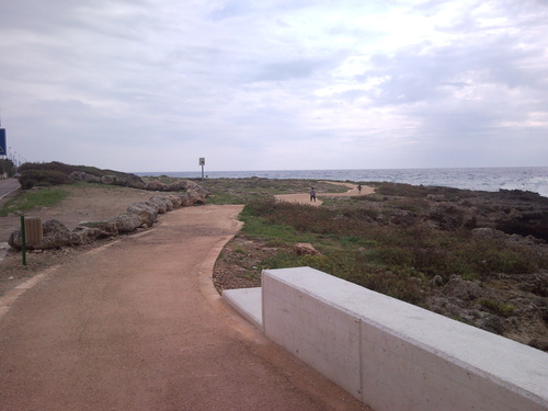 Snc00535_large