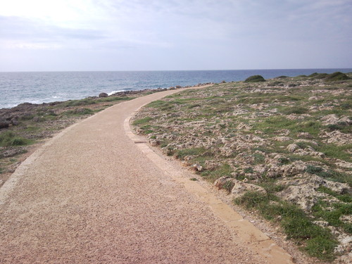 Snc00546_large