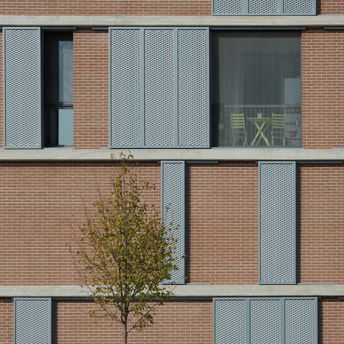 01_libeccio__large