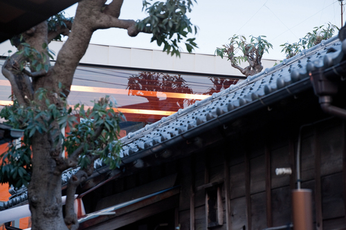 Asagaya_d17_large