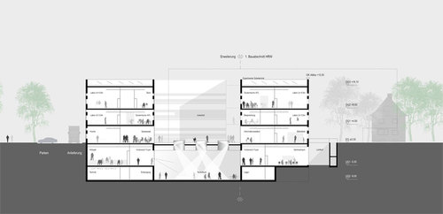 Longitudinal_2_large