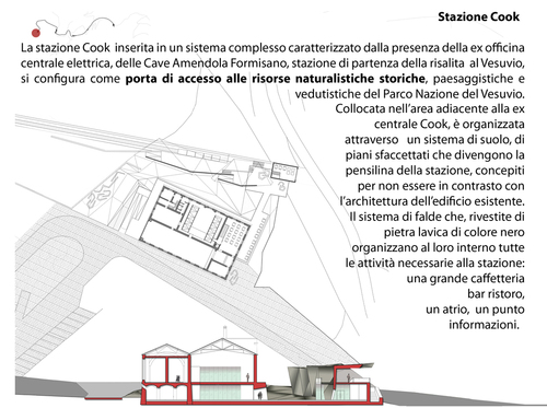 Cook_large