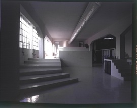 155795001_normal