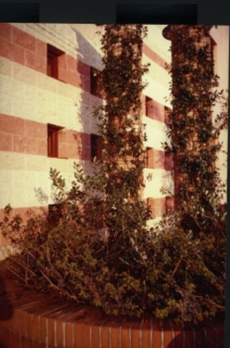1779377171_large