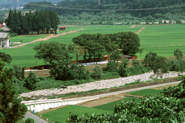 Bird_view_normal