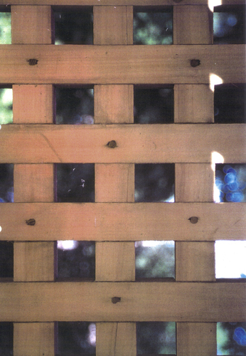 Foto-07_large