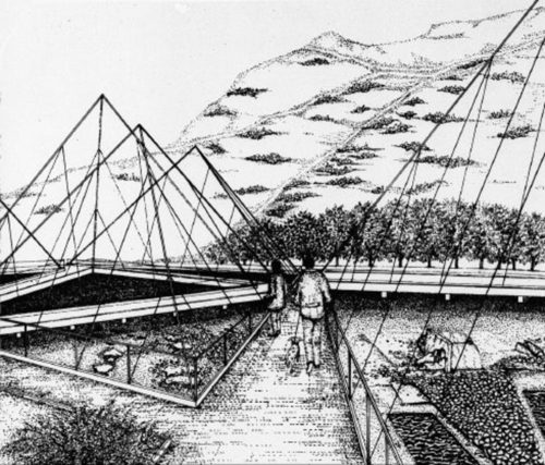 2097447251_large