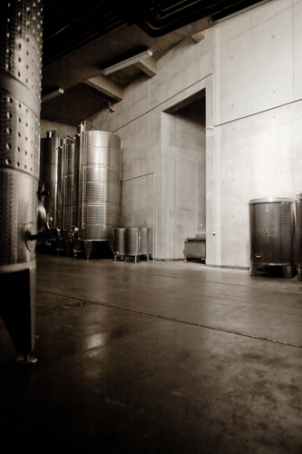 Laposa_winery_003_large