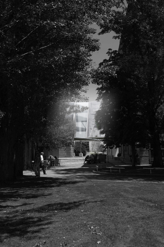 Vista_5_large