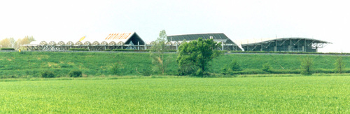 1356295200_large