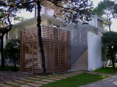 Imm_240b_large