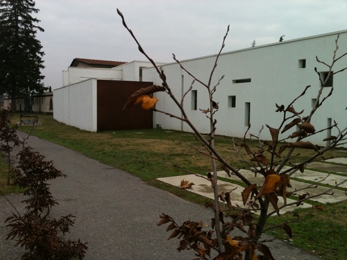 Immagine_804_large
