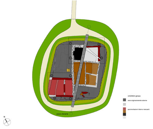 01-pianta_large