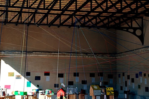 _roma_asin_mostra3_large
