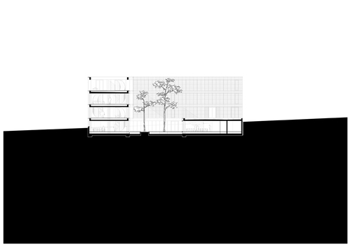 Section1_large