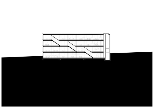 Section2_large