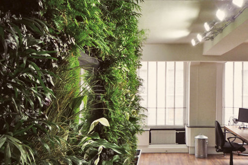 Green-zone-_8__large