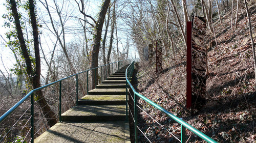 Le-chemin-_3__large