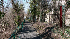 Le-chemin-_6__normal