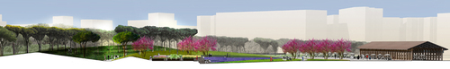 11_section_area8_lowres_large