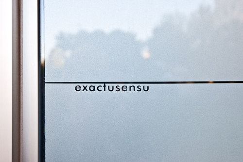 Exactusenso-window-detail_large