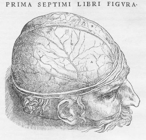 0_3_vesalio_large