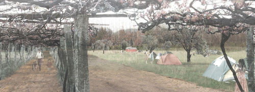 6_campismo_large