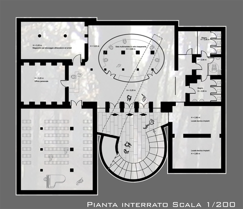 Pianta_1_large