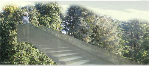 Vista_1_large