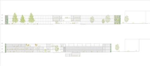 Dürig_ag_wien-bildungscampus_sections_large