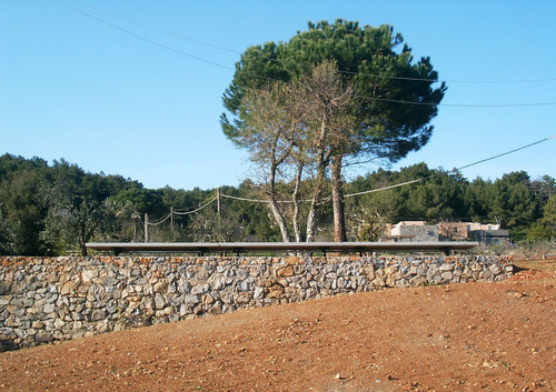 Isc_11_large