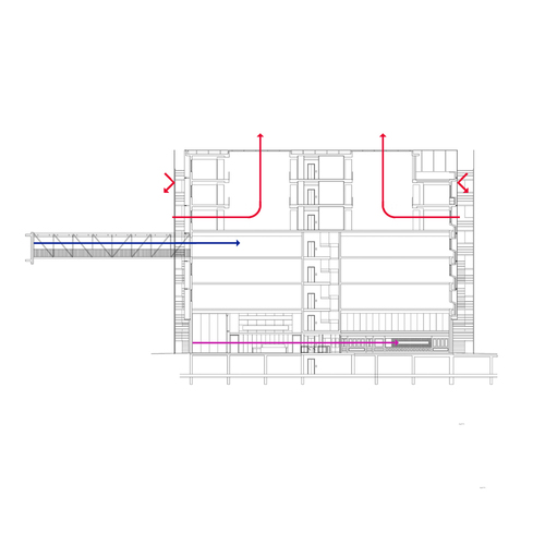 Neo-section1_large