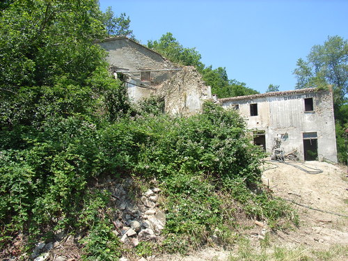 Rimg0101_large