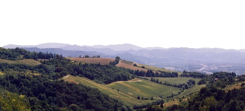 08_large