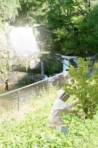 Ved-fossen_large