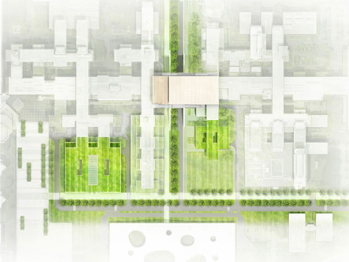 Epfl_dpa_planmasse_large