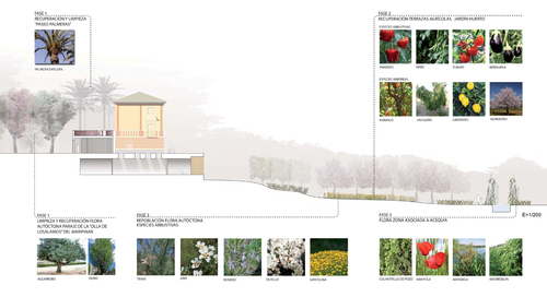 03-imagen_large