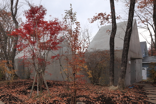 20101115_458_large