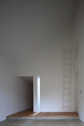 20101116_427_large