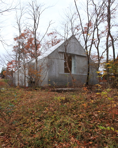 20101115_483_large