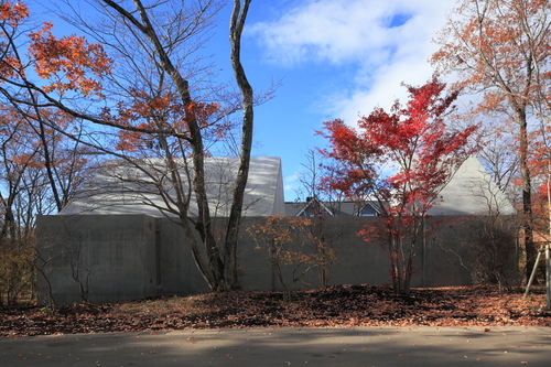20101116_541_large