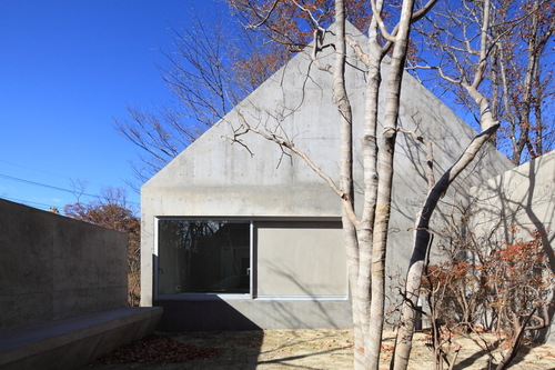 20101116_704_large